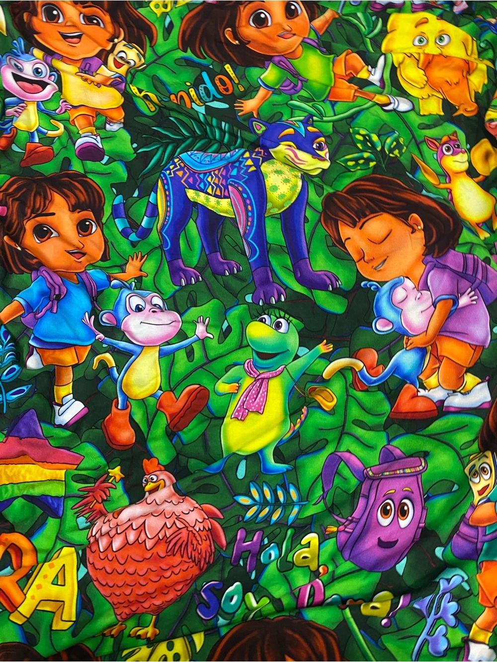 Sugar Swan bamboo crib sheet EUC Dora the Explorer